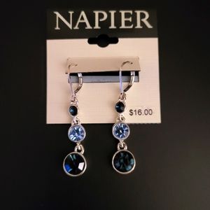 Blue Dangle Earrings